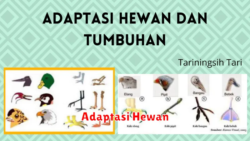 Adaptasi Hewan